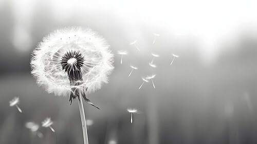 (c) Adobe.stock.com/Caelestiss