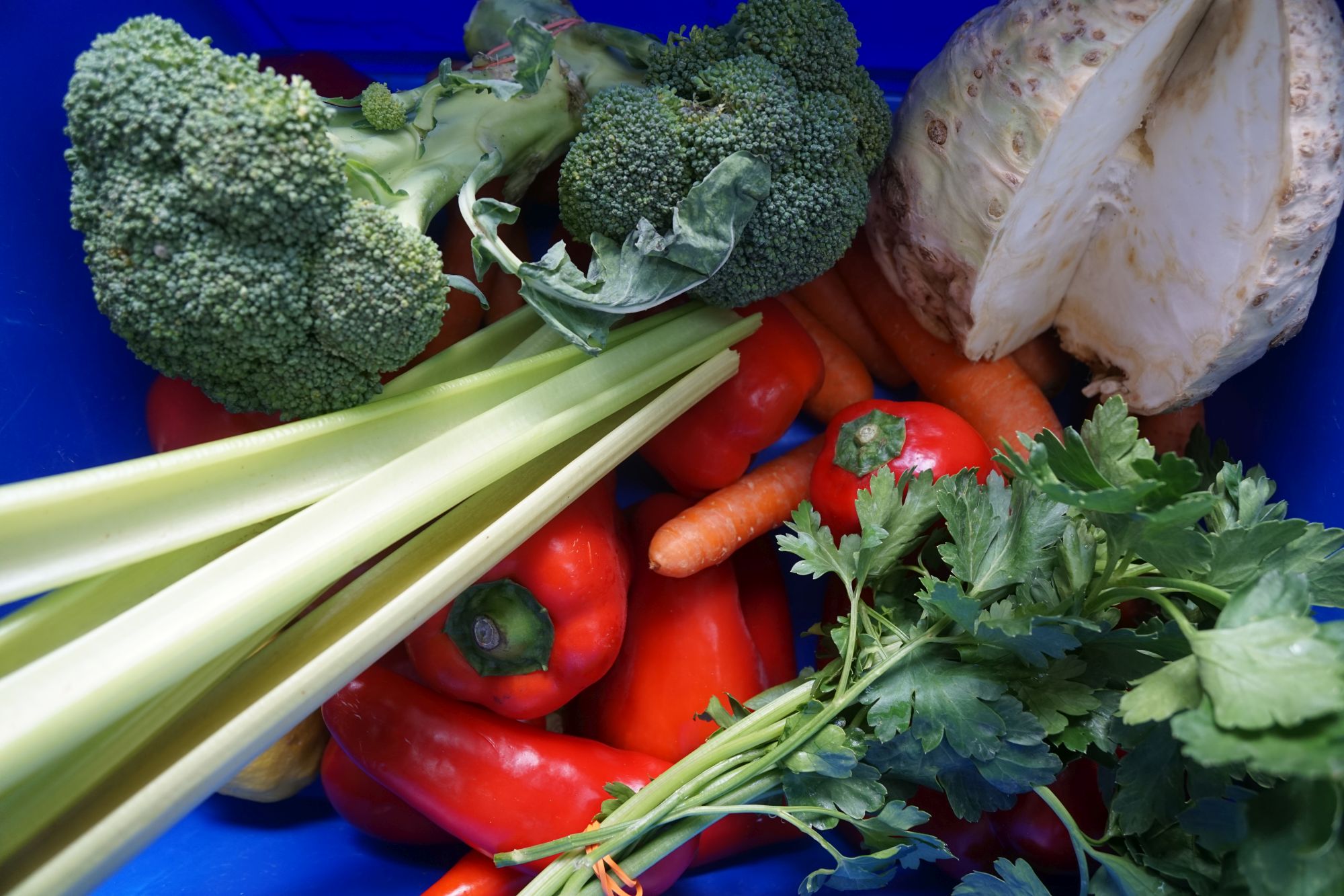Eine Kiste voll frischem Gemüse, Karotten, Paprika, Brokkoli, Sellerie.